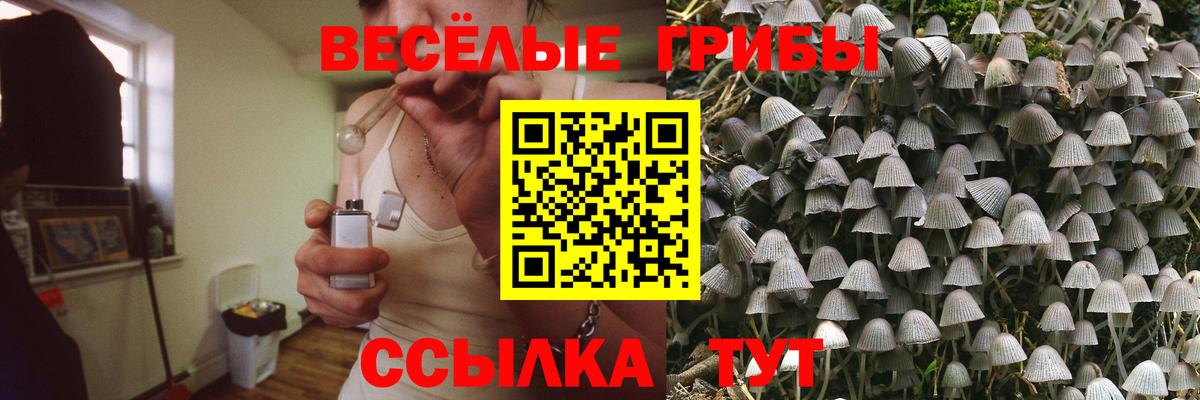 Галлюциногенные грибы Psilocybe  наркота  Дзержинск  Вход с VPN 